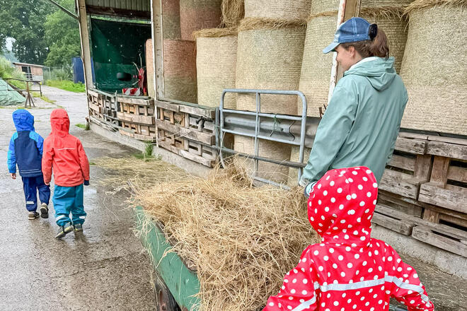 Bauernhofbesuch des Johanniter-Hauses Wilde 13 Ein Kind schiebt eine Schubkarre mit Heu.